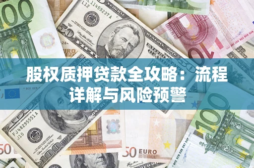 北京股权质押贷款全攻略：流程详解与风险预警