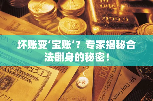 北京坏账变‘宝账’？专家揭秘合法翻身的秘密！