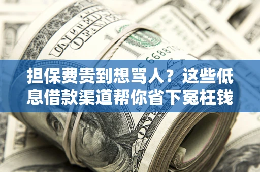 北京担保费贵到想骂人？这些低息借款渠道帮你省下冤枉钱