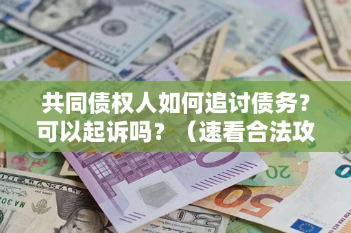 北京共同债权人如何追讨债务？可以起诉吗？（速看合法攻略）